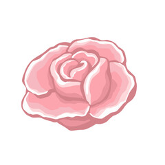 Rose, bud flower rose color blooming illustration vector