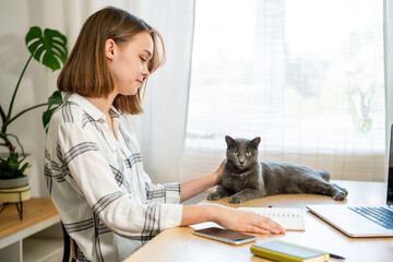 Young woman entrepreneur working on laptop at home with her cat, sitting together in modern room with plants. Girl using a computer for study online at home, female user busy on a distance internet