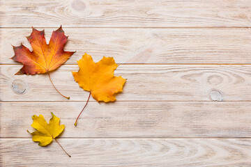 Autumn composition. Pattern made of dried leaves and other design accessories on table. Flat lay, top view