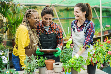 Multiracial women working inside greenhouse garden - Nursery and spring concept - Focus on african female face