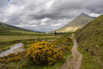 Walking the West Highland Way between Tyndrum and the Bridge of Orchy.