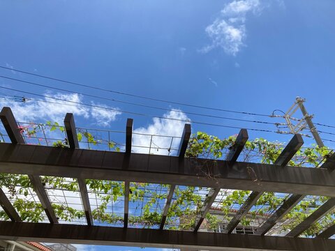 沖縄の青空