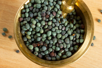 Fruits of Terebinth, Pistacia terebinthus