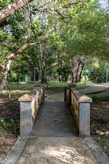 Labuan Botanical Garden, Malaysia
