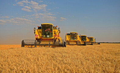 Obraz premium Technology harvester that facilitates crop harvesting in farmland