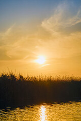 Landscape with sunset in the Danube Delta Romania