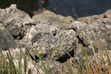 Rocks and stones.