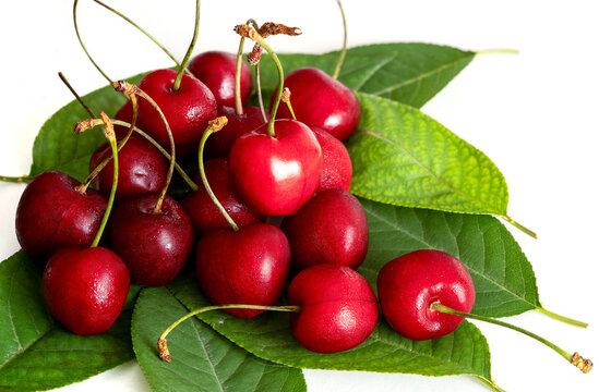 Close up photo of sour cherry on isolated white background.