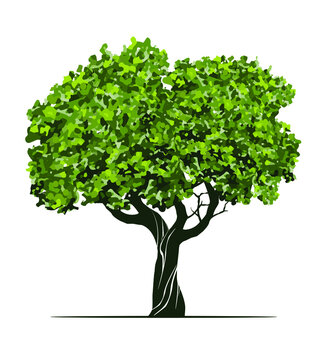 Shape of green Tree with Leaves. Vector outline Illustration. Plant in Garden.