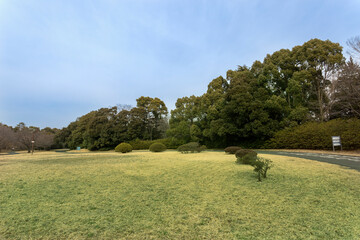 昭和記念公園（東京都立川市）