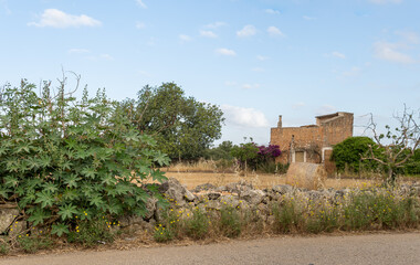 Fototapeta na wymiar Old rural house in a state of abandonment