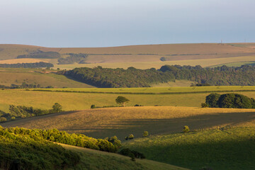 Fototapeta na wymiar Looking out over a rolling South Downs landscape on a summers evening