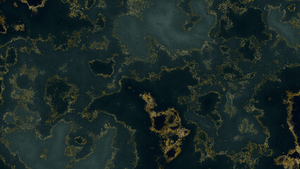 Dark Marble Texture with Flowing Gold Patterns and Smooth Abstract Detail