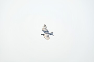 hole in the paper