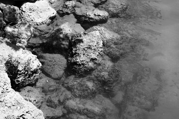 Rocky shore in black and white.