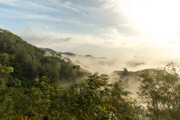 Summer landscape in valley and sunrise in cloudy sky. Sea of ​​mist.