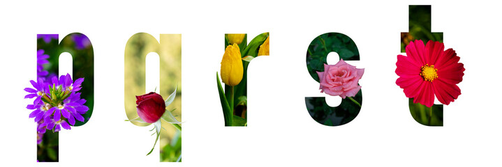 Floral letters. The letters p, q, r, s, t are made from colorful flower photos. A collection of wonderful flora letters for unique spring decorations and various creation ideas. 