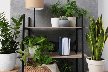 Stylish room interior with beautiful house plants. Home design idea © New Africa