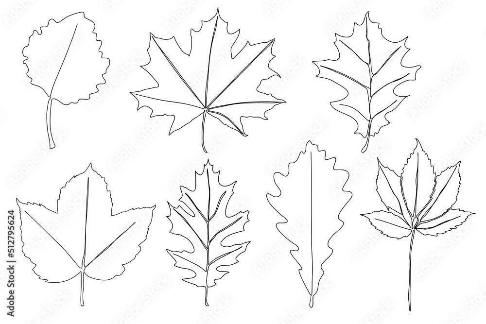 Wall mural a set of autumn leaves drawn with a continuous line. autumn leaf in one line style icon vector illus