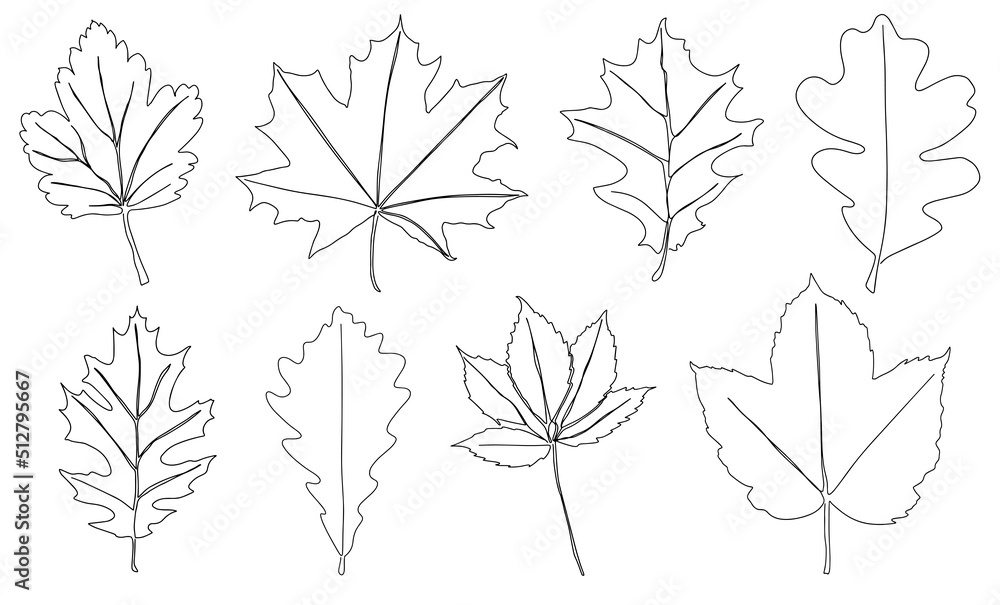 Wall mural a set of autumn leaves drawn with a continuous line. autumn leaf in one line style icon vector illus