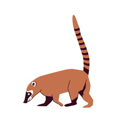 Nosua, or coati, is a genus of small mammals of the raccoon family, common in south and central america. Vector illustration isolated on white background