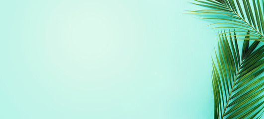 Fototapeta premium Image of tropical green palm over blue pastel background