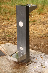 Fuente