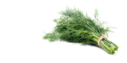 fresh and ripe dill bunch isolated on white