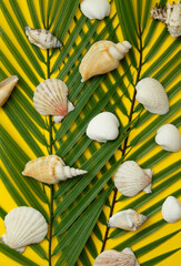 Seashells seamless pattern on palm tree background. Summer aesthetic concept.