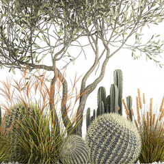 Fototapety   cactus collection in a concrete flowerpot