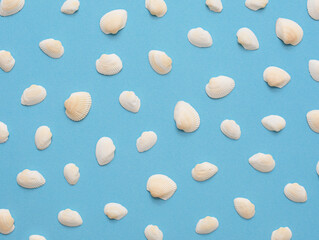 Summer minimalist mockup pattern on a blue background with white sea shells - ideal for elegant branding identities - flat lay. Tropical vacation concept.