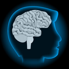 Obraz premium Brain. Neocortex. x-ray blue realistic Human's head