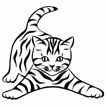 illustration of a playing stripes cat. Kitten linear drawing. Cat silhouette drawing by hand. Animal vector image.