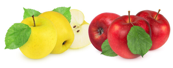 Red and yellow apples on an isolated white background. Collection of red and yellow apples