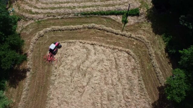 Andainage dans un champ fauch&eacute; r&eacute;cemment. Tracteur rouge roulant dans l'herbe s&eacute;ch&eacute;.