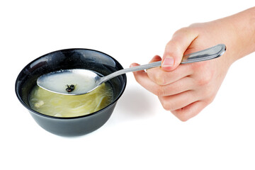 Hand hold spoon with dead fly from the bowl of soup. White background