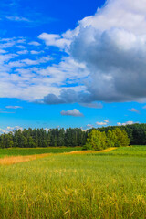 North German agricultural field forest trees nature landscape panorama Germany.