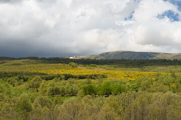 Sierra de Béjar, Salamanca, Castilla y León, Spain