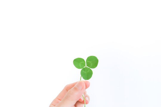 三つ葉のクローバー Images – Browse 206 Stock Photos, Vectors