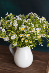 chamomile. bouquet of chamomiles in white vase on wooden table. 