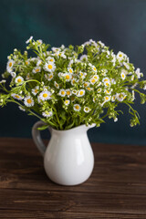 chamomile. bouquet of chamomiles in white vase on wooden table. 