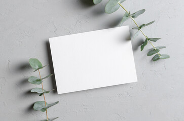 Invitation empty card mockup with natural eucalyptus plant decorations