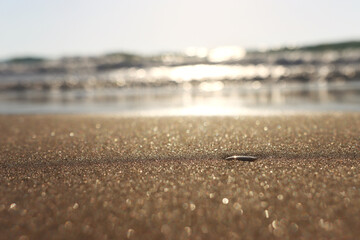 Sea waves and warm sunset light, calm and relaxing sandy beach