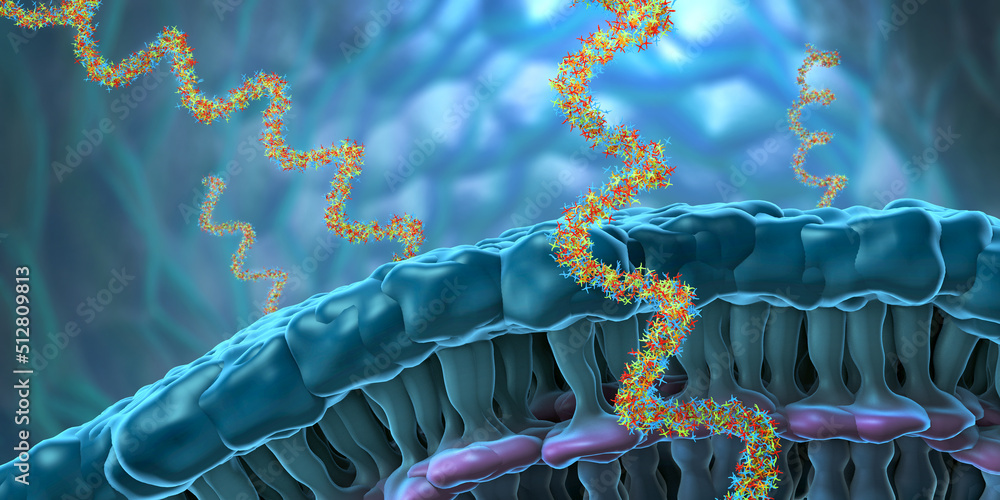 Wall mural ribonucleic acid strands consisting of nucleotides important for protein bio-synthesis - 3d illustra