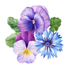 Flowers. Pansy, lily, roses, leaves and bud on white background, watercolor botanical illustration