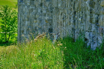 Meadow by a Castle Wall
