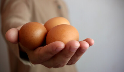 Fresh organic eggs on the hands of farmers.