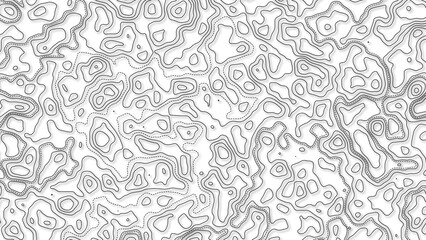 White wave paper curved reliefs abstract background, Abstract topographic contours map background. Geographic mountain relief. Abstract lines background. Contour maps. Business concept.
