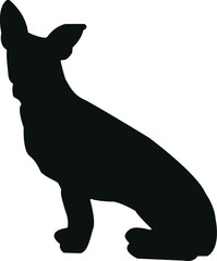 silhouette of a dog