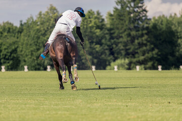 A equestrian polo player riding a horse hits the ball. The moment of mallet impact. Grass polo,...